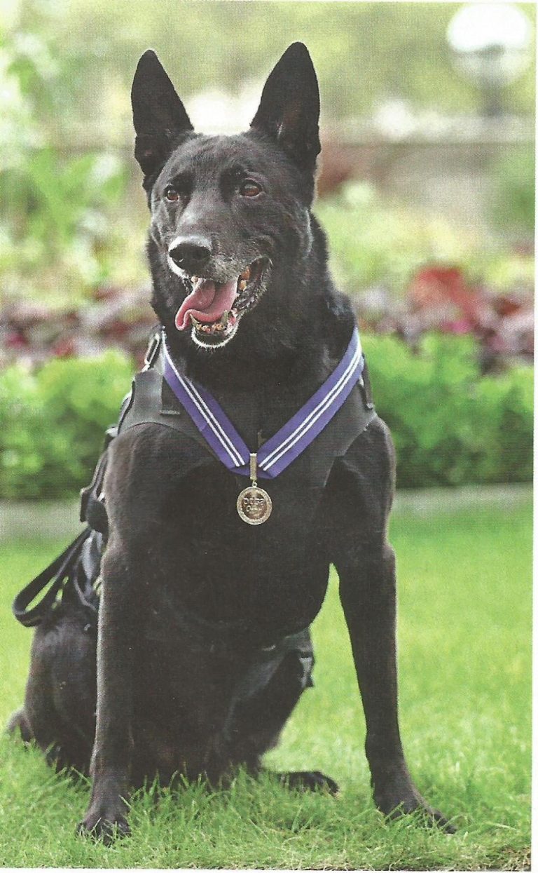 La condecoración de Hurricane