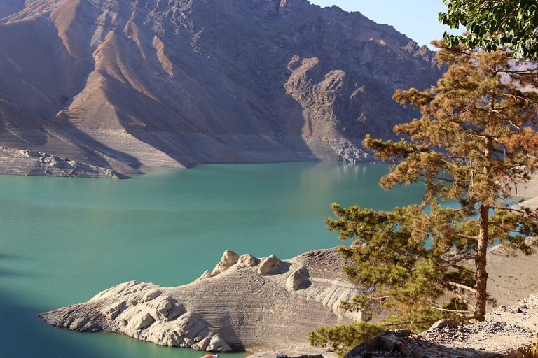 De las profundidades